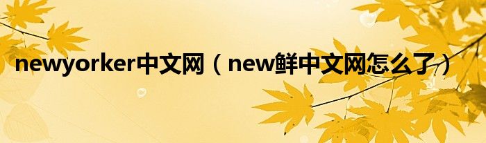 newyorker中文網(wǎng)（new鮮中文網(wǎng)怎么了）