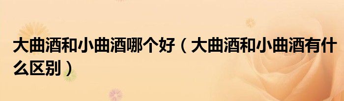 大曲酒和小曲酒哪個好（大曲酒和小曲酒有什么區(qū)別）