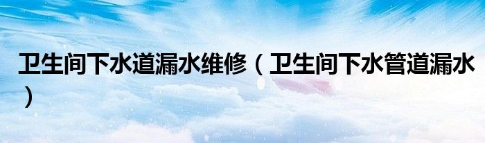衛(wèi)生間下水道漏水維修（衛(wèi)生間下水管道漏水）