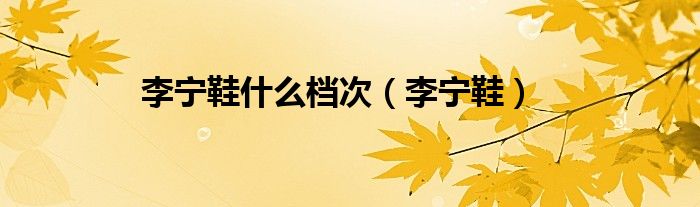 李寧鞋什么檔次（李寧鞋）