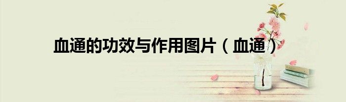 血通的功效與作用圖片（血通）