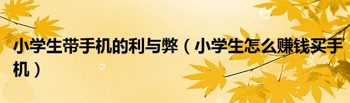 小學(xué)生帶手機(jī)的利與弊（小學(xué)生怎么賺錢買手機(jī)）