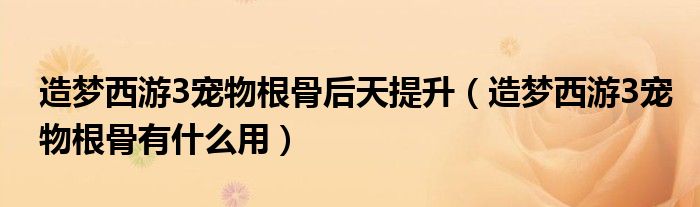 造夢西游3寵物根骨后天提升（造夢西游3寵物根骨有什么用）