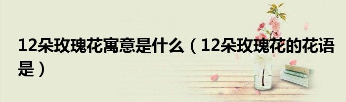 12朵玫瑰花寓意是什么（12朵玫瑰花的花語是）