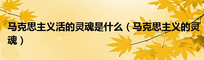 馬克思主義活的靈魂是什么（馬克思主義的靈魂）