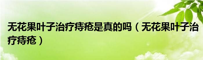 無花果葉子治療痔瘡是真的嗎（無花果葉子治療痔瘡）