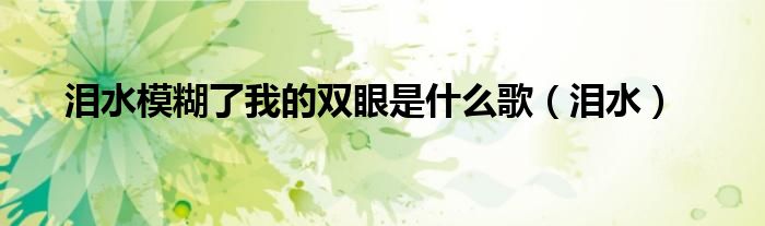 淚水模糊了我的雙眼是什么歌（淚水）