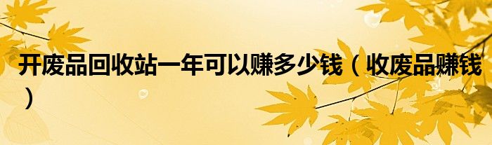 開廢品回收站一年可以賺多少錢（收廢品賺錢）