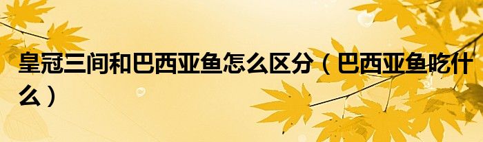 皇冠三間和巴西亞魚怎么區(qū)分（巴西亞魚吃什么）