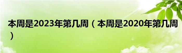 本周是2023年第幾周（本周是2020年第幾周）