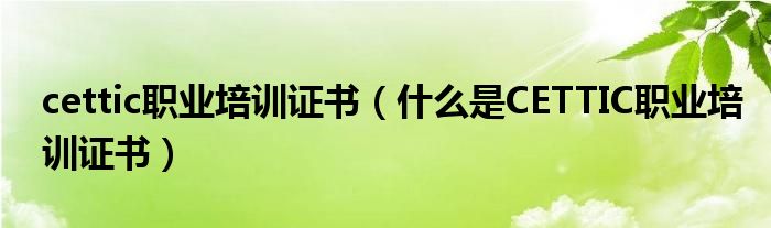 cettic職業(yè)培訓(xùn)證書(shū)（什么是CETTIC職業(yè)培訓(xùn)證書(shū)）