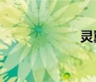 靈翼幼龍聲望攻略