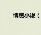 情感小說（說一說情感小說的簡介）