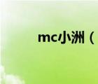 mc小洲（說(shuō)一說(shuō)mc小洲的簡(jiǎn)介）