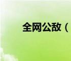 全網(wǎng)公敵（說一說全網(wǎng)公敵的簡介）