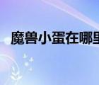 魔獸小蛋在哪里打（魔獸世界小蛋哪里買）