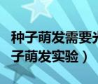 種子萌發(fā)需要光照的條件的實(shí)驗(yàn)方案（需光種子萌發(fā)實(shí)驗(yàn)）