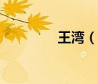 王灣（說一說王灣的簡介）
