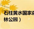 石柱黃水國家森林公園圖片（石柱黃水國家森林公園）