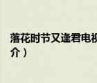 落花時節(jié)又逢君電視?。ㄕf一說落花時節(jié)又逢君電視劇的簡介）