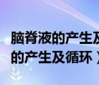 腦脊液的產(chǎn)生及循環(huán)途徑用箭頭表示（腦脊液的產(chǎn)生及循環(huán)）