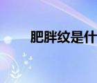 肥胖紋是什么原因造成的（肥胖紋）