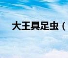 大王具足蟲(chóng)（說(shuō)一說(shuō)大王具足蟲(chóng)的簡(jiǎn)介）