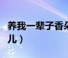 養(yǎng)我一輩子香朵兒未刪減版（養(yǎng)我一輩子香朵兒）