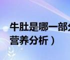 牛肚是哪一部分（牛肚是牛的哪個部位  牛肚營養(yǎng)分析）