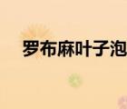 羅布麻葉子泡水治高血壓嗎（羅布麻葉）