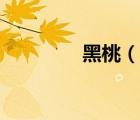 黑桃（說一說黑桃的簡介）