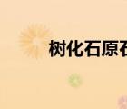 樹化石原石一公斤價錢（樹化石）