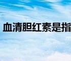 血清膽紅素是指什么（血清膽紅素什么意思）