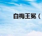 白梅王冕（說一說白梅王冕的簡介）