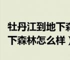 牡丹江到地下森林開車多長時間（牡丹江的地下森林怎么樣）