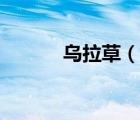 烏拉草（說一說烏拉草的簡介）