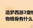造夢西游3寵物根骨后天提升（造夢西游3寵物根骨有什么用）