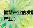 智慧產(chǎn)業(yè)的發(fā)展與未來包括了哪些內(nèi)容（智慧產(chǎn)業(yè)）