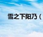 雪之下陽乃（說一說雪之下陽乃的簡介）