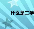 什么是二學(xué)位（學(xué)位是什么怎么填）