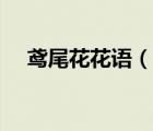 鳶尾花花語（說一說鳶尾花花語的簡介）
