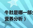牛肚是哪一部分（牛肚是牛的哪個部位  牛肚營養(yǎng)分析）