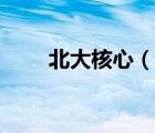 北大核心（說一說北大核心的簡介）