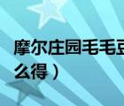 摩爾莊園毛毛豆怎么獲得（摩爾莊園毛毛豆怎么得）