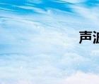 聲波魚網(wǎng)（聲波魚）