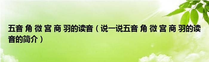 五音 角 微 宮 商 羽的讀音（說一說五音 角 微 宮 商 羽的讀音的簡介）