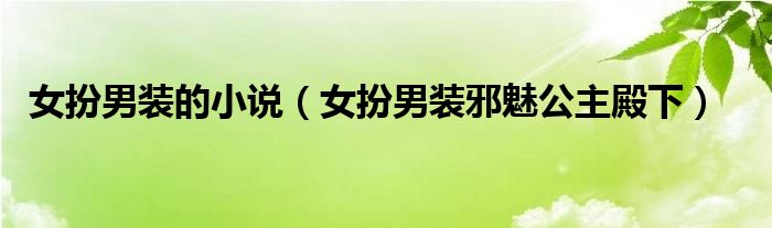 女扮男裝的小說（女扮男裝邪魅公主殿下）