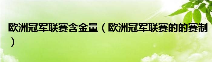 歐洲冠軍聯(lián)賽含金量（歐洲冠軍聯(lián)賽的的賽制）
