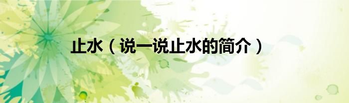 止水（說一說止水的簡介）