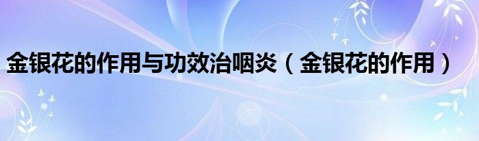 金銀花的作用與功效治咽炎（金銀花的作用）